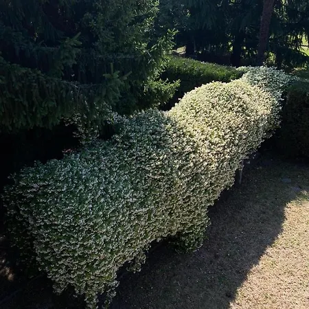 Villa Casa Tranquilla *