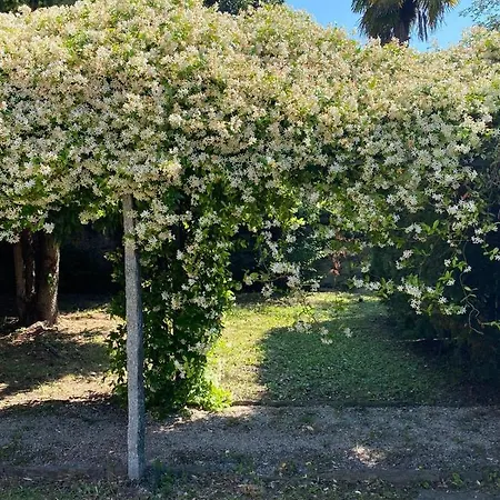 Casa Tranquilla Villa